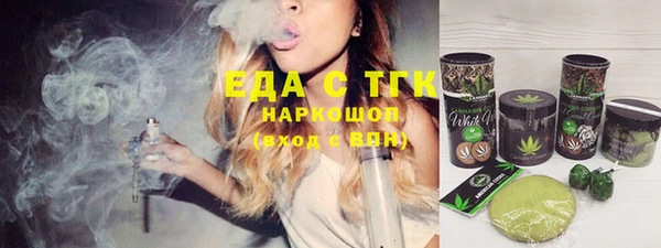 мдпв Елабуга