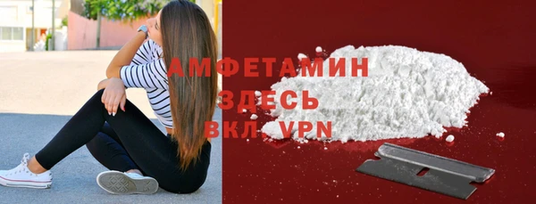 мдпв Елабуга
