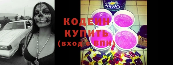 мдпв Елабуга