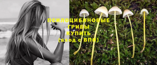 MDMA Ельня
