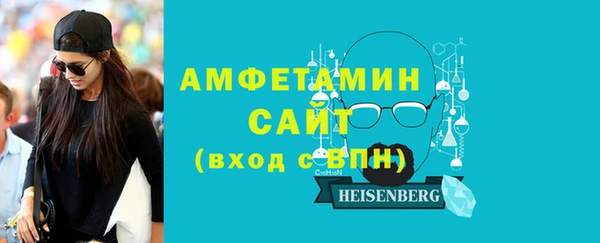 мдпв Елабуга
