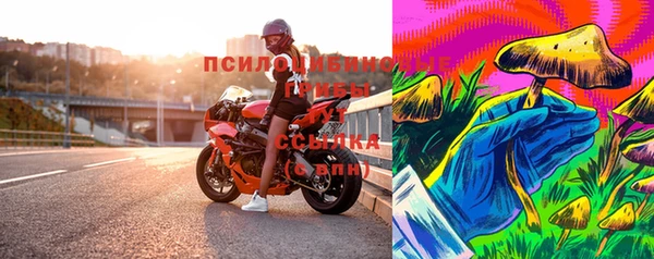мдпв Елабуга