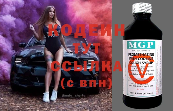 мдпв Елабуга