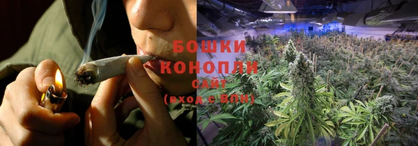 мдпв Елабуга