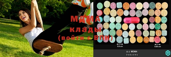мдпв Елабуга
